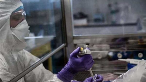 عالم فيروسات بلجيكى للمصريين : طقس مصر يقضى على كورونا فى أيام بشرط التزامكم | فيديو