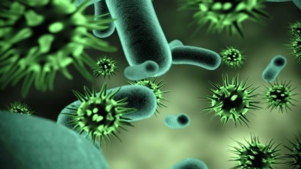 بعد كورونا .. فيروس قاتل جديد يضرب العالم | التفاصيل الكاملة