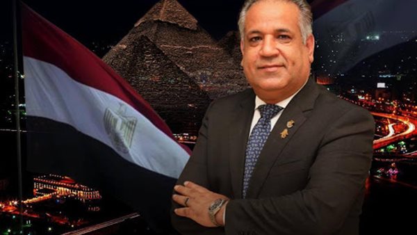 رئيس رجال الأعمال المصريين الأفارقة: مصر وضعت خطة استباقية متكاملة لمكافحة كورونا 