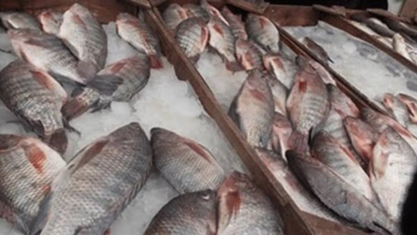 أسعار الاسماك اليوم السبت 28 مارس 2020