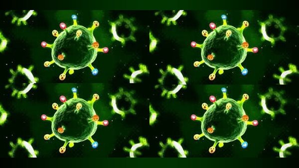 هل هناك علاقة بين الدرن وانخفاض إصابات كورونا بالشرق الأوسط ؟