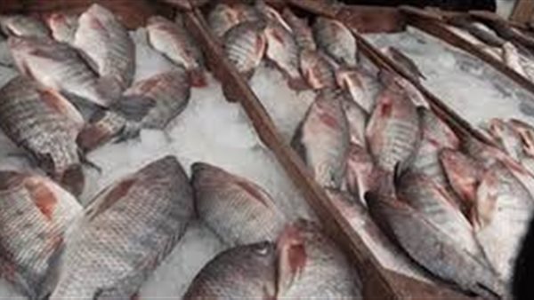 أسعار الاسماك اليوم الخميس 19 مارس 2020