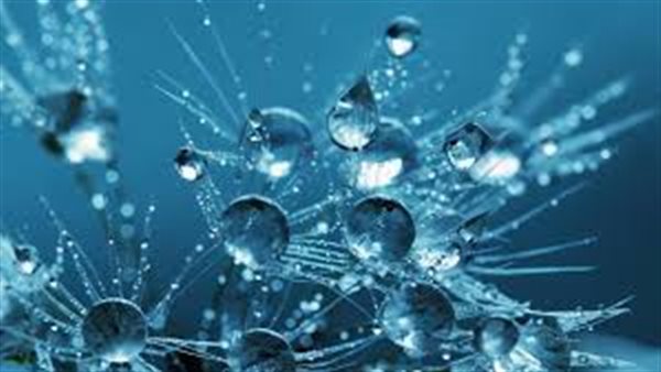 هل يقتل الماء فيروس كورونا داخل الجسم؟