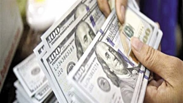 محسن عادل: الدولار كان سيصل إلى 70 جنيها لولا قرارات الإصلاح الاقتصادى التاريخية | فيديو 