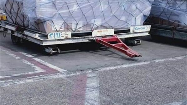 الصين ترد الجميل لمصر .. القاهرة تستقبل 17 طن مساعدات طبية من بكين