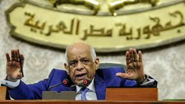 على عبد العال: أعضاء مجلس النواب يتبرعوا بـ 20 مليون جنيه لمواجهة كورونا | فيديو