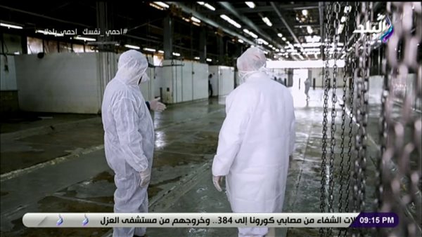 مدير مجزر البساتين: بسبب كورونا إقبال على اللحوم البقرى والجملي وتراجع الضأن | فيديو