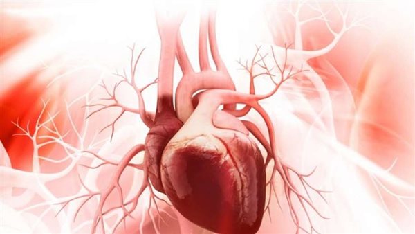 جمال شعبان: قلب الإنسان يدق من 2 إلى 3 مليار مرة فى 70 سنة | فيديو 