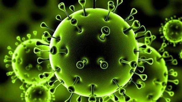 رسميا.. أول دولة في العالم تعلن انتصارها على فيروس كورونا 