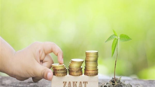 هل يجوز إخراج زكاة عن المتوفى ؟ | فيديو