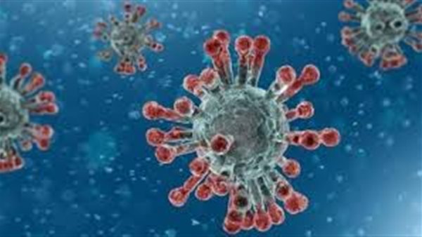 بالفيديو..أستاذ فيروسات يكشف أسباب وفاة 30% من مصابي فيروس كورونا | فيديو 