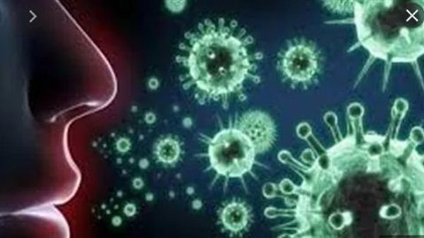 عاجل.. الصحة تعلن ارتفاع حالات مصابي فيروس كورونا و12 حالة وفاة جديدة