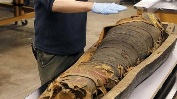 مصطفى وزيري: توصلنا إلى سر التحنيط بعد الاكتشاف الأثري الأخير بسقارة | فيديو 