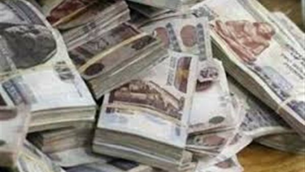 وزير المالية يعلن موعد صرف مرتبات مايو | فيديو