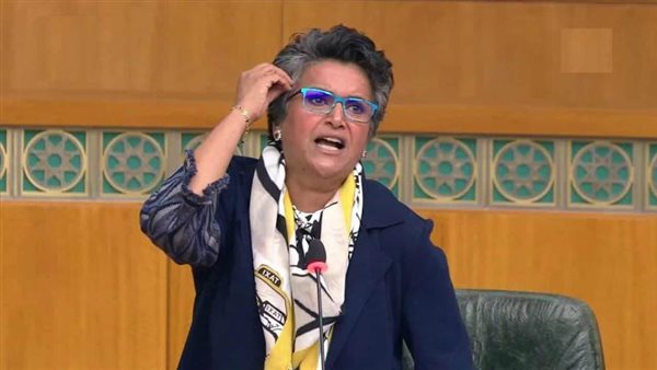 بالفيديو.. وزيرة الهجرة ترد على تطاول 