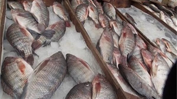 أسعار الاسماك اليوم الأربعاء 6 مايو 2020