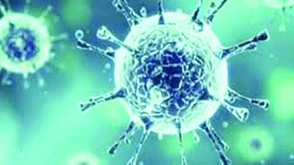 هل ينقل الذباب عدوى فيروس كورونا ؟ منظمة الصحة العالمية تجيب