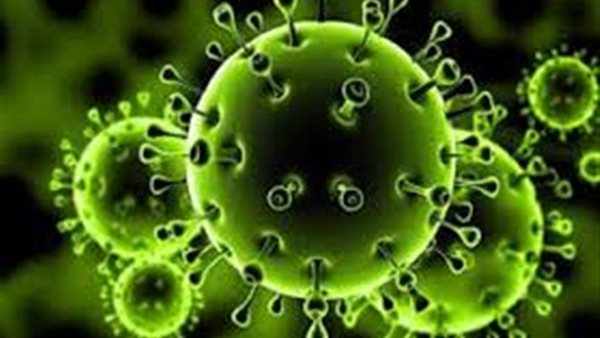 الصحة العالمية توضح حقيقة وجود نوع أكل يحمي من فيروس كورونا