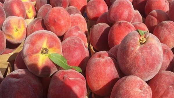 حقيقة تداول أنواع خوخ مسرطنة بالأسواق 