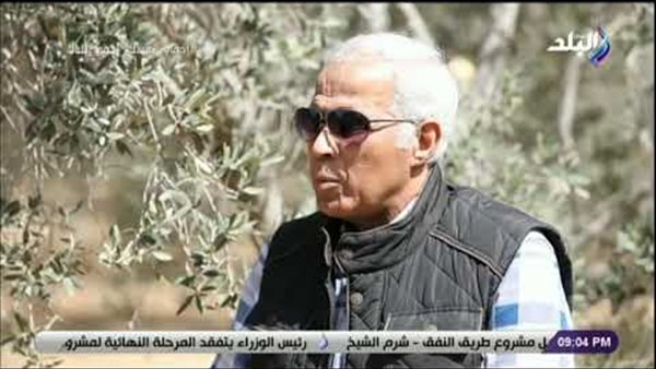 عادل خيرت: مصر تستهلك من 400 إلى 500 طن زيتون سنويا | فيديو