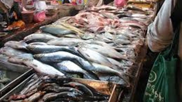 أسعار الاسماك اليوم الاثنين 8 يونيو 2020