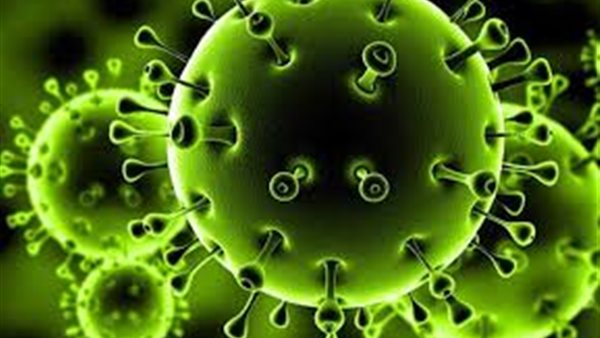 الصحة تحسم الجدل حول ذروة كورونا وموعد الموجة الثانية لانتشار الفيروس