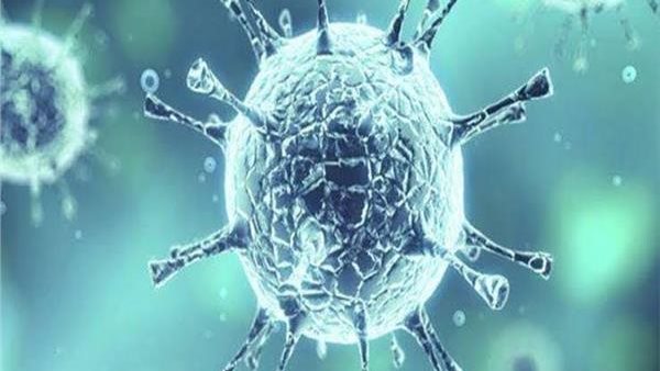 عضو لجنة مكافحة كورونا: الصحة استخدمت 3 بروتوكولات للعلاج حتى الآن | فيديو