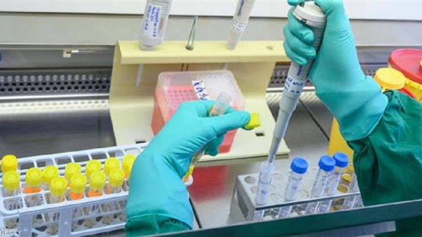 مفاجأة .. شركة مصرية تحصل على ترخيص تصنيع 