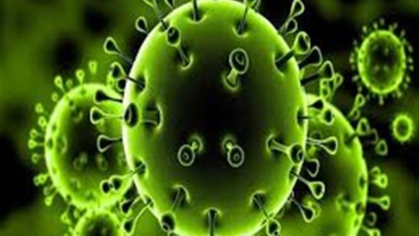 بالفيديو..خبيرة أبراج شهيرة تفجر مفاجأة وتتوقع نهاية أزمة كورونا في هذا التوقيت