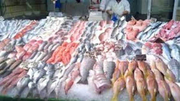 أسعار الاسماك اليوم الثلاثاء 16 يونيو 2020