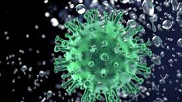 دراسة جديدة تصدم العالم بشأن فيروس كورونا