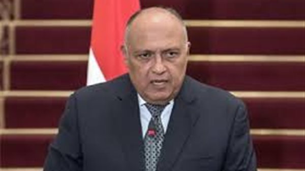 ماذا لو أصرت إثيوبيا على ملء سد النهضة بشكل أحادي؟ وزير الخارجية يجيب | فيديو 