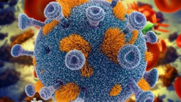 بصيرة: تقديرات بإصابة 616 ألف مصري بكورونا في عمر 18 سنة فأكثر 