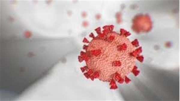 القومي للبحوث يفجر مفاجأة كبرى عن لقاح وأدوية كورونا | فيديو 