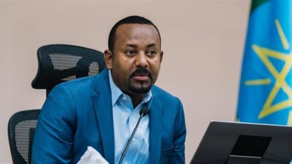 سفارات إثيوبيا تنظم حملات تحريض ضد مصر.. تفاصيل| فيديو