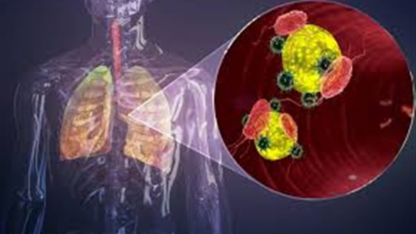 باحث بجامعة أمريكية يفجر مفاجأة عن طريقة جديدة للتعقيم ضد كورونا | فيديو