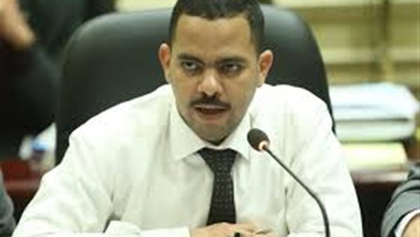 أشرف رشاد: المرأة المصرية تمتلك فرصة تاريخية لدخول عالم السياسة | فيديو