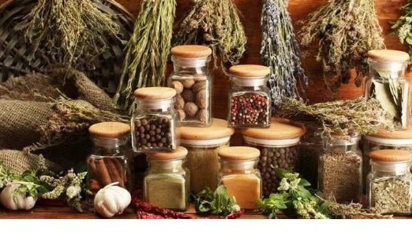 6 أعشاب لا تتوقف عن تناولها وإضافتها لأطعمتك لتقوية المناعة 