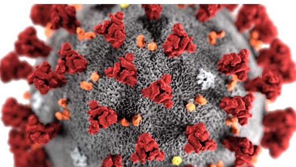 دراسة تقدم أدلة صادمة عن منشأ فيروس كورونا الحقيقي 