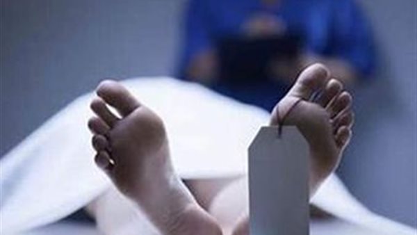 جريمة «قابيل وهابيل» تهز الشرقية