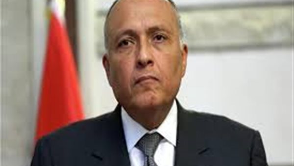 وزير الخارجية يكشف الخطوات المقبلة للتعامل مع أزمة سد إثيوبيا | فيديو