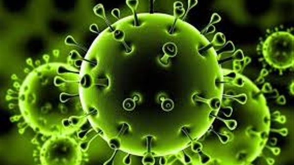 مستشار الرئيس يفجر مفاجأة جديدة عن فيروس كورونا 