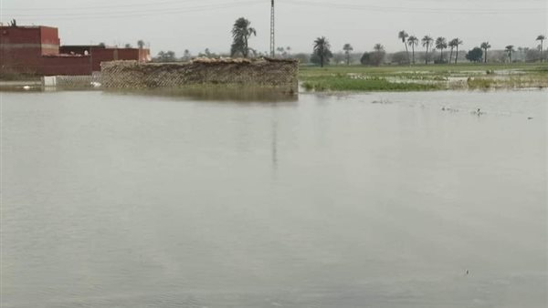 مزارعو الصف المتضررين من السيول لوزيرة التضامن : المديرية اضاعت كشف الحصر ولم نتلقى اى تعويضات رغم تضررنا