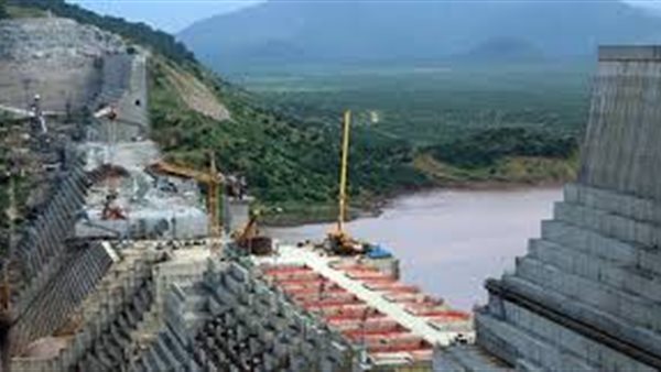 عضو لجنة المفاوضات: بدء إثيوبيا في ملء السد «غير لائق» سياسيا | فيديو