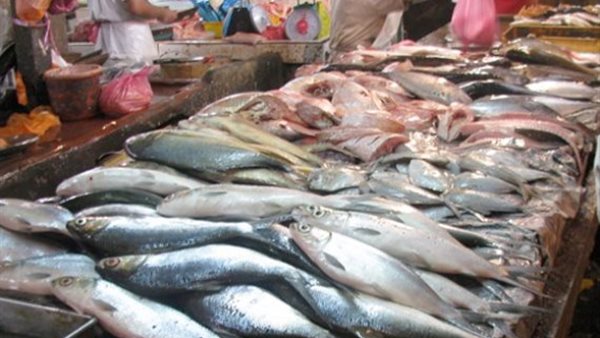 أسعار الاسماك اليوم الاحد 26 يوليو 2020