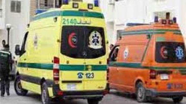 أبشع جريمة في عيد الأضحي.. تفاصيل مقتل أستاذة جامعية فداء لزوجها بالمنيا