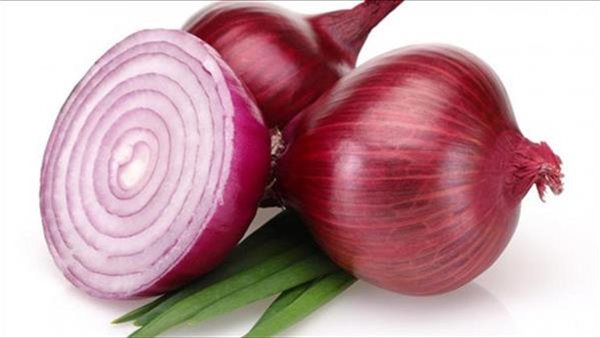 احذر .. فيروس جديد يهدد حياة البشرية يسببه البصل الأحمر