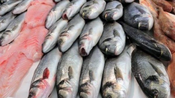 أسعار الاسماك اليوم الأربعاء 5 أغسطس 2020