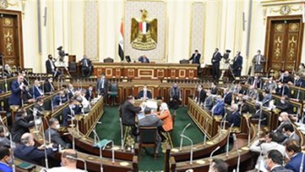 ما أهمية وصلاحيات مجلس الشيوخ | فيديو