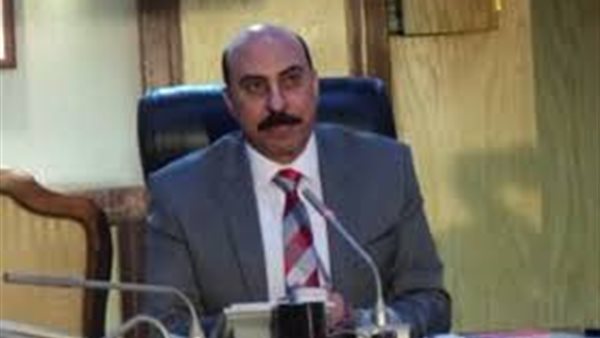 محافظ أسوان: درجة الحرارة وجائحة كورونا لم تمنعا المواطن من المشاركة في الانتخابات | فيديو